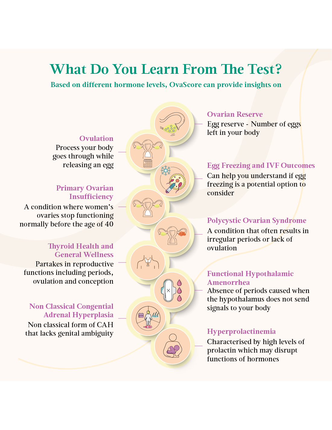 LifeCell OvaScore Female fertility hormone test with at-home collecti